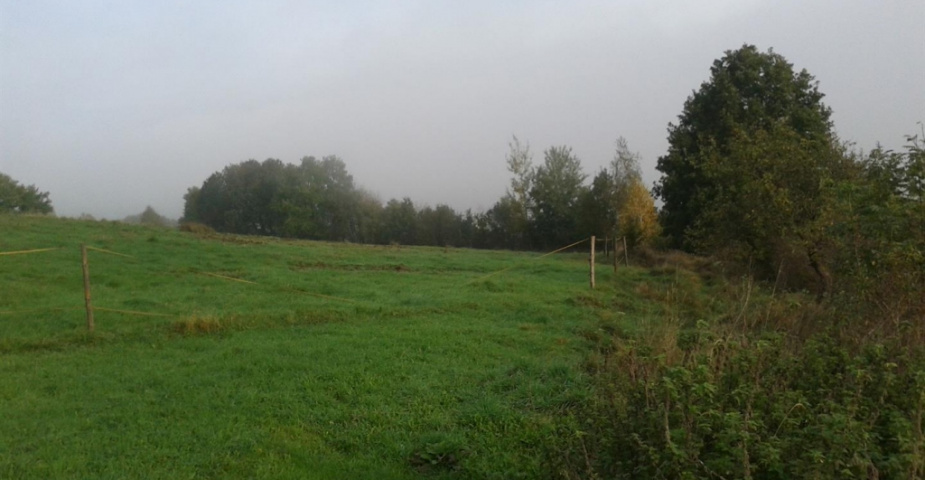 Albrechtice nad Vltavou