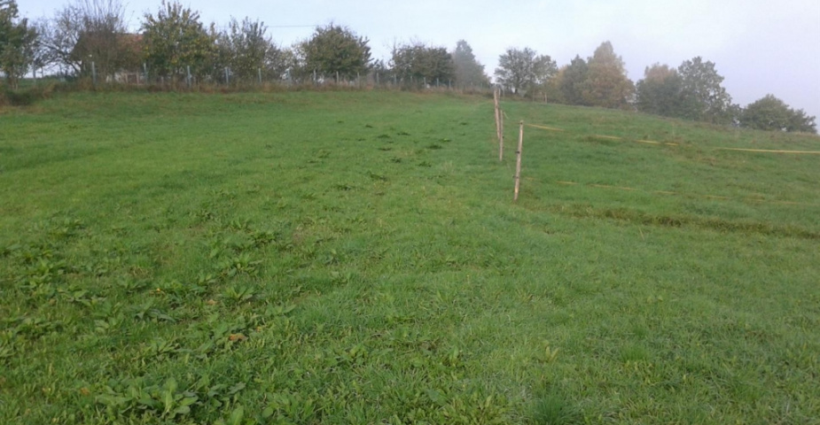 Albrechtice nad Vltavou