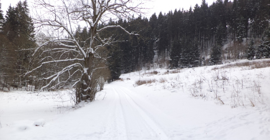 Hamry nad Křetinkou