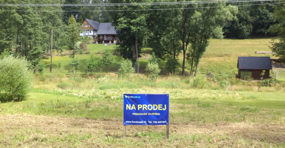 Bartošovice v Orlických horách