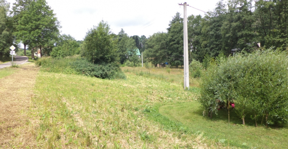 Bartošovice v Orlických horách