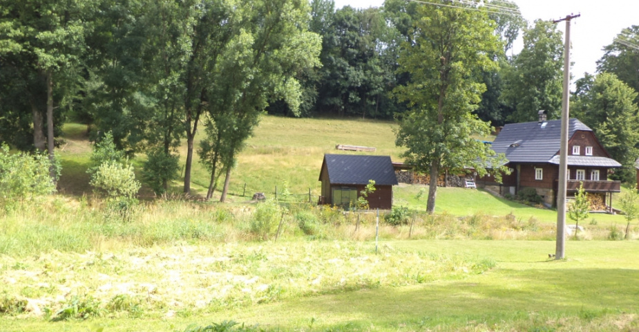 Bartošovice v Orlických horách