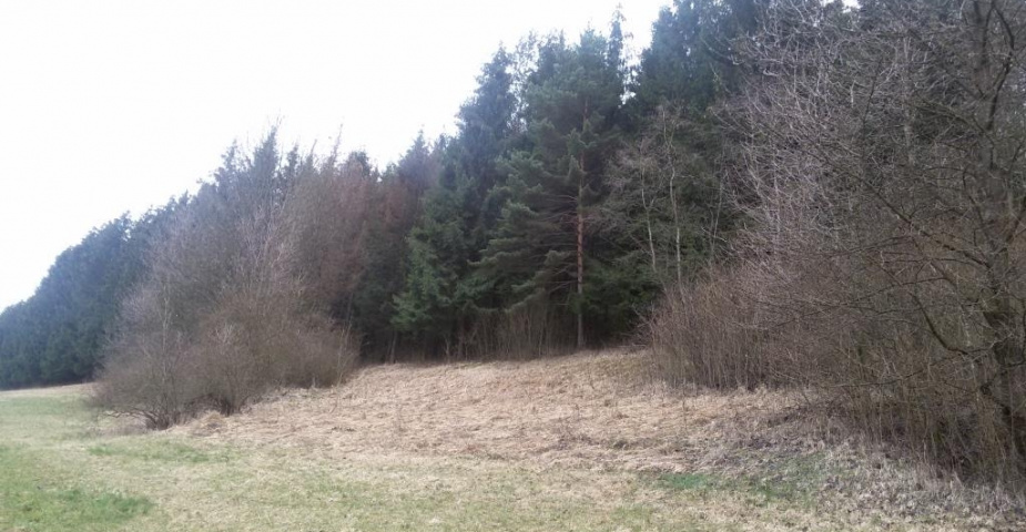 Rovensko pod Troskami