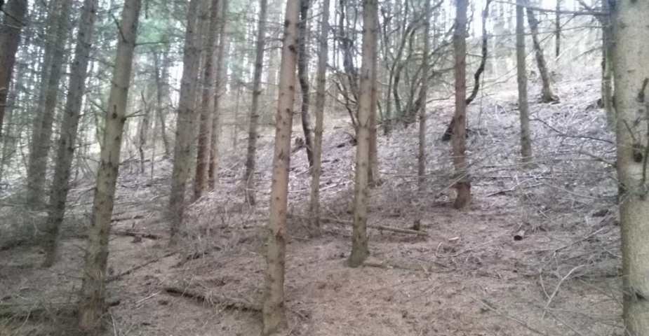 Rovensko pod Troskami