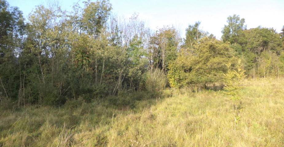 Rovensko pod Troskami