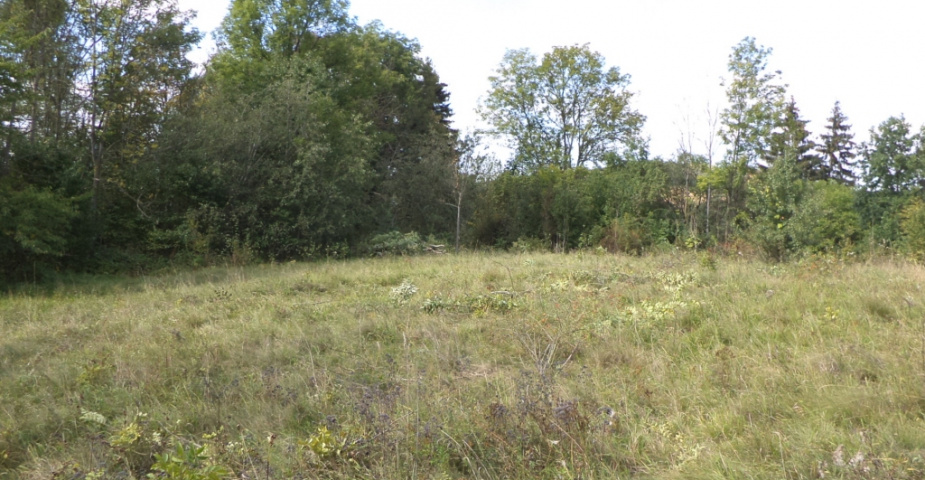 Rovensko pod Troskami