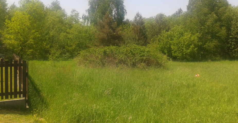 Halámky