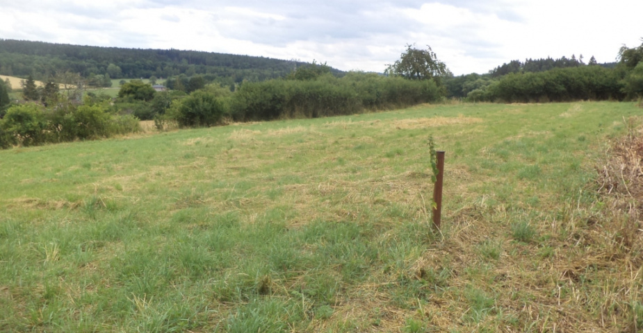 Hněvkovice u Týna nad Vltavou