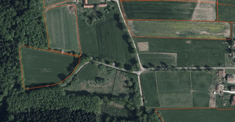 Líšnice u Kostelce