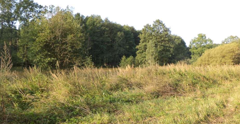 Líšnice u Kostelce