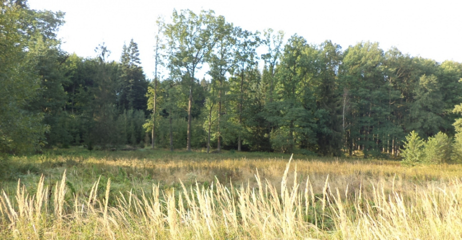 Líšnice u Kostelce