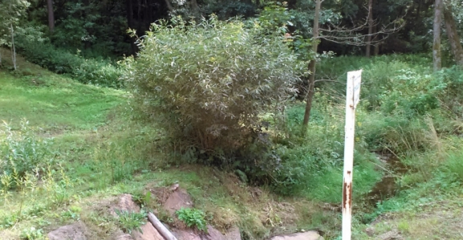 Babí