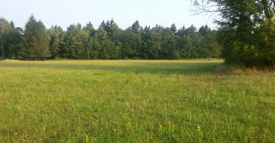 Maršovice u Jablonce nad Nisou