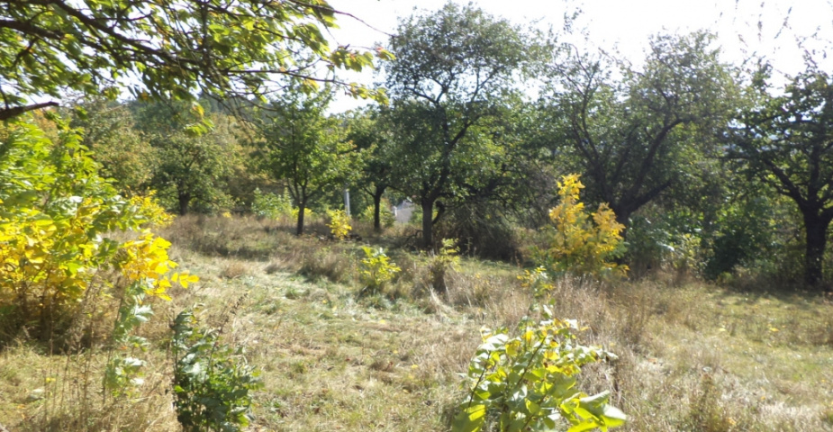 Doubravice u Dvora Králové