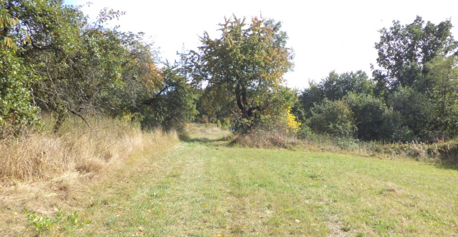 Doubravice u Dvora Králové