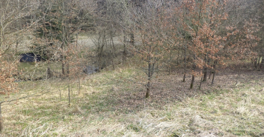 Rychnov u Nových Hradů