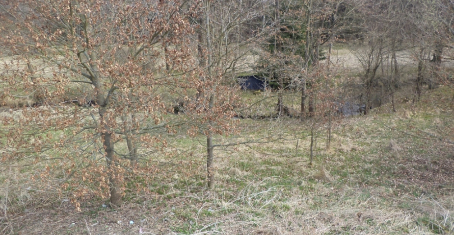 Rychnov u Nových Hradů