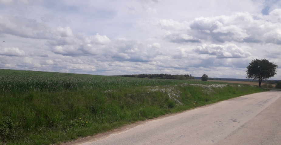 Dobšice u Týna nad Vltavou