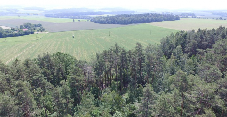 Prodej lesního pozemku Křekovice u Vyšetic