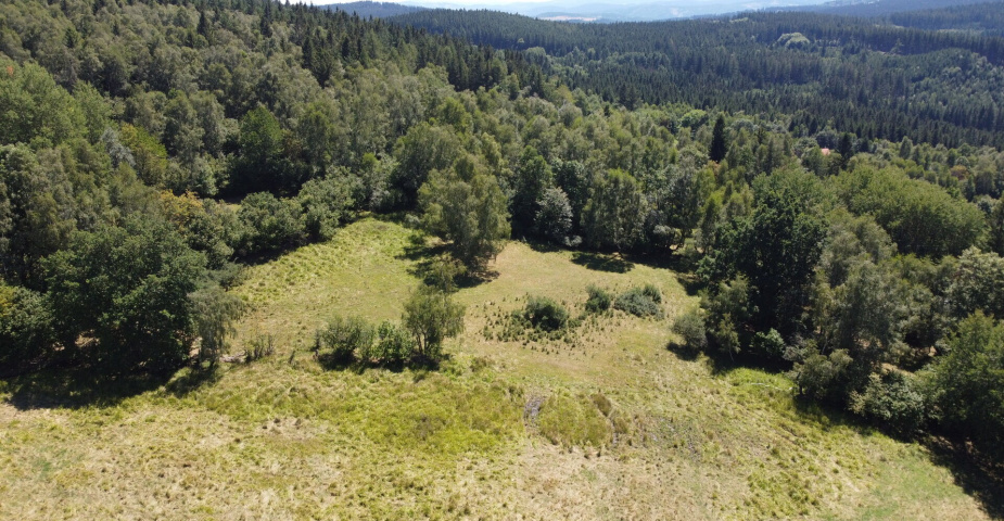 dražba pozemků k.ú. Maleč