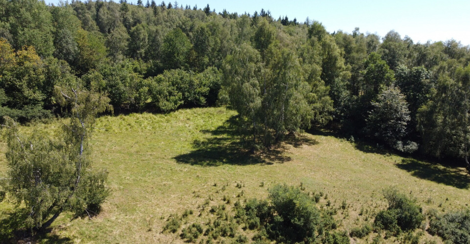 dražba pozemků k.ú. Maleč