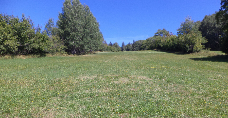 dražba pozemků k.ú. Maleč