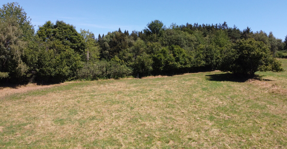 dražba pozemků k.ú. Maleč