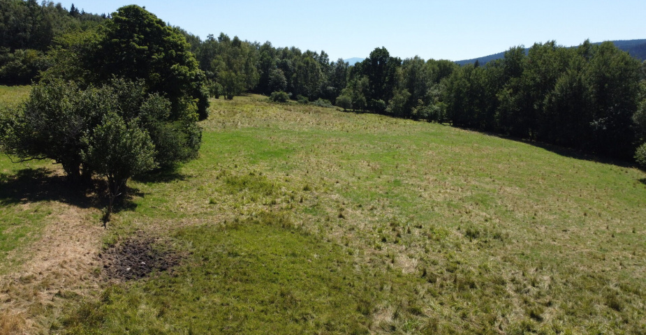 dražba pozemků k.ú. Maleč