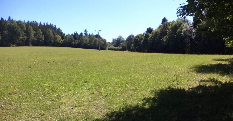 dražba pozemků k.ú. Maleč