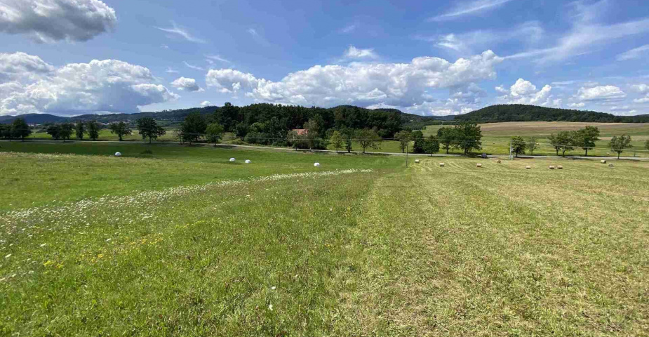 Prodej zemědělských pozemků Hrbov u Lhenic