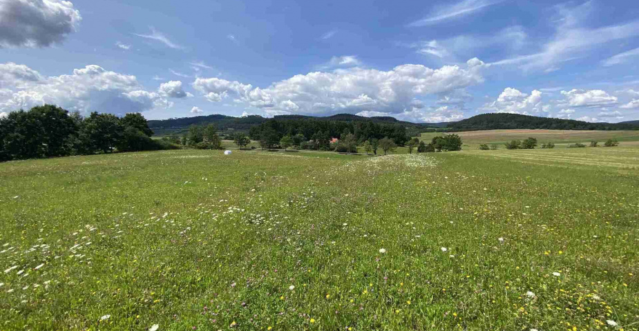 Prodej zemědělských pozemků Hrbov u Lhenic