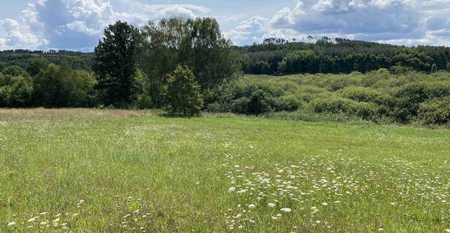 Prodej zemědělských pozemků Hrbov u Lhenic