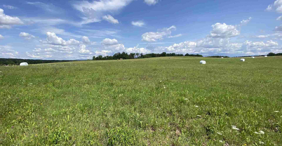 Prodej zemědělských pozemků Hrbov u Lhenic