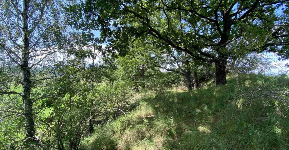 Prodej zemědělských pozemků Hrbov u Lhenic