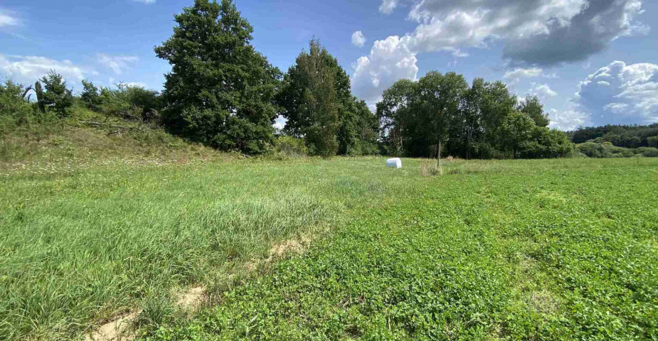 Prodej zemědělských pozemků Hrbov u Lhenic