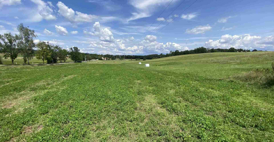 Prodej zemědělských pozemků Hrbov u Lhenic