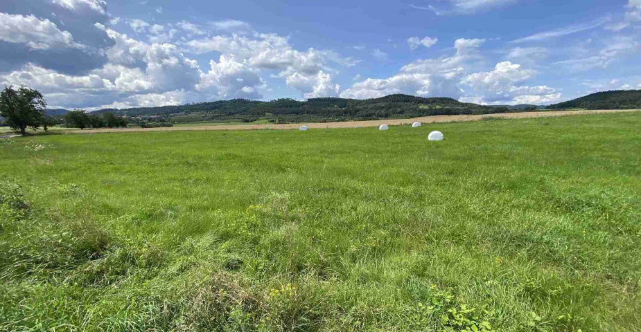 Prodej zemědělských pozemků Hrbov u Lhenic