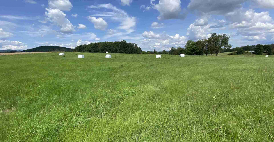Prodej zemědělských pozemků Hrbov u Lhenic
