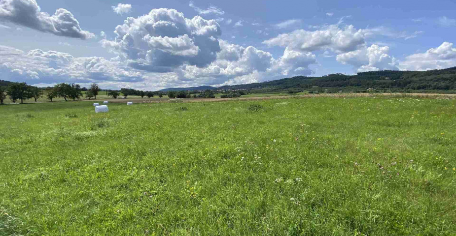 Prodej zemědělských pozemků Hrbov u Lhenic