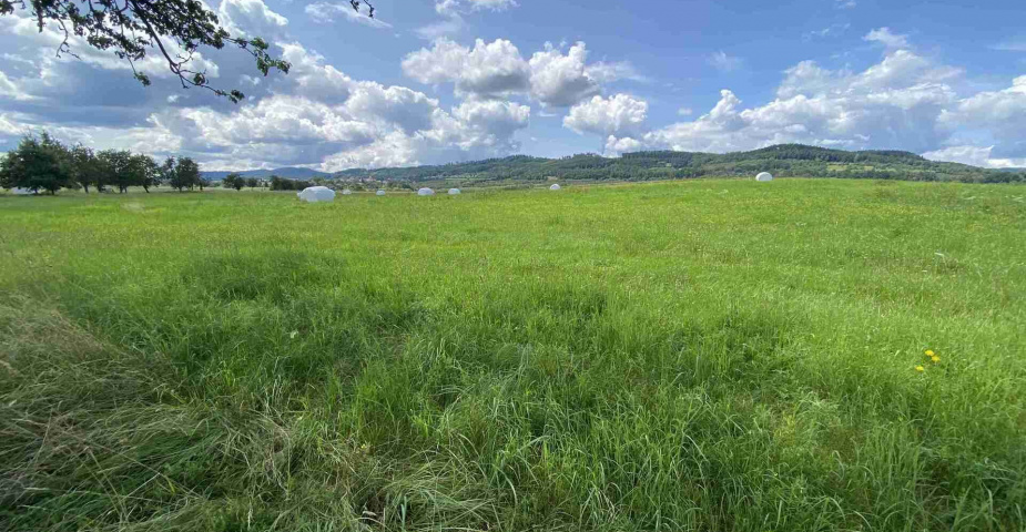 Prodej zemědělských pozemků Hrbov u Lhenic