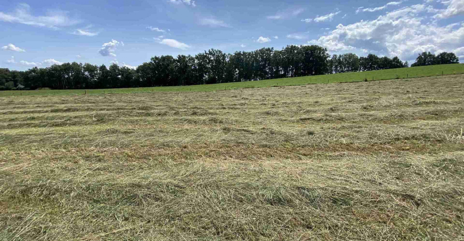 Prodej zemědělských pozemků Hrbov u Lhenic