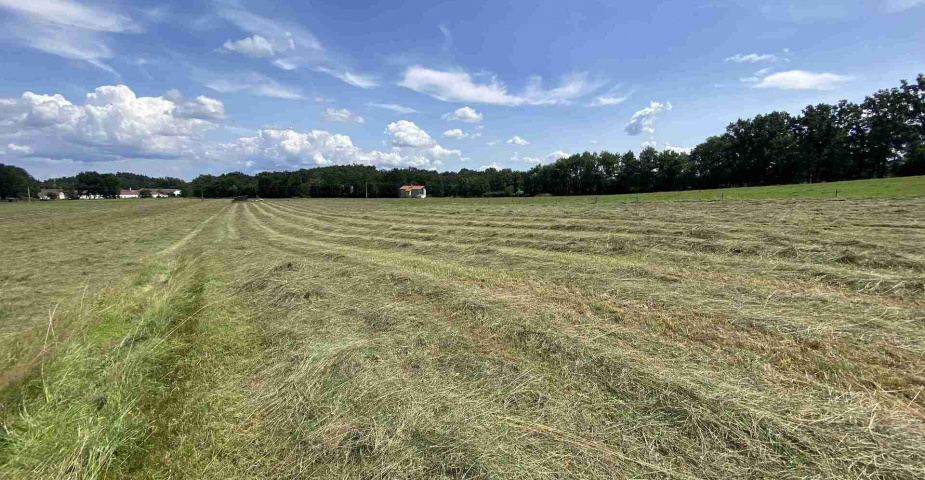 Prodej zemědělských pozemků Hrbov u Lhenic
