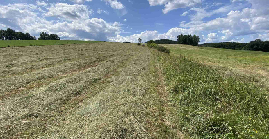 Prodej zemědělských pozemků Hrbov u Lhenic
