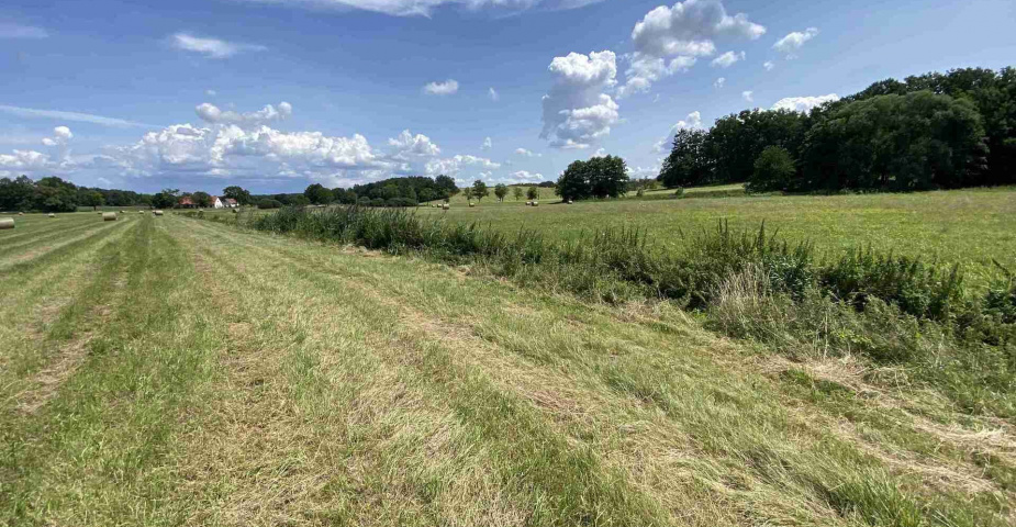 Prodej zemědělských pozemků Hrbov u Lhenic