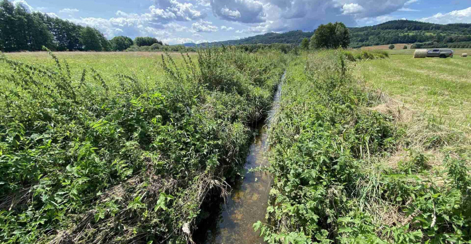 Prodej zemědělských pozemků Hrbov u Lhenic