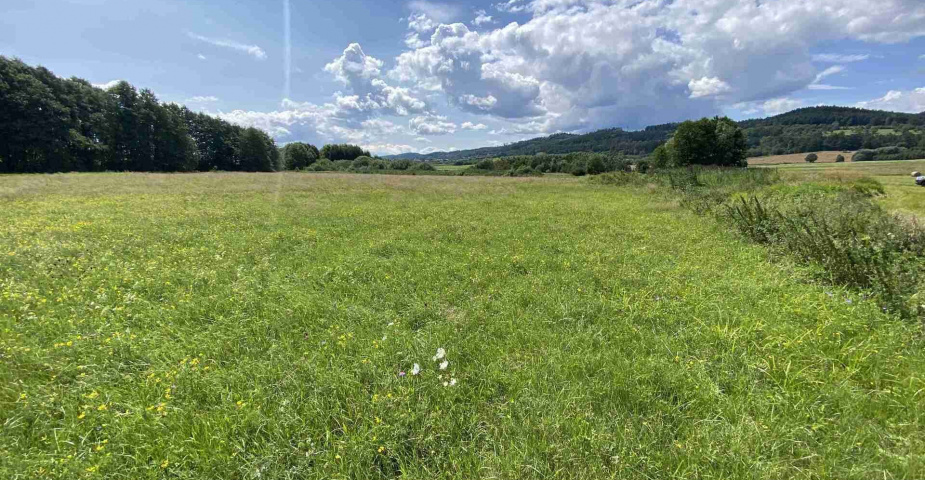 Prodej zemědělských pozemků Hrbov u Lhenic