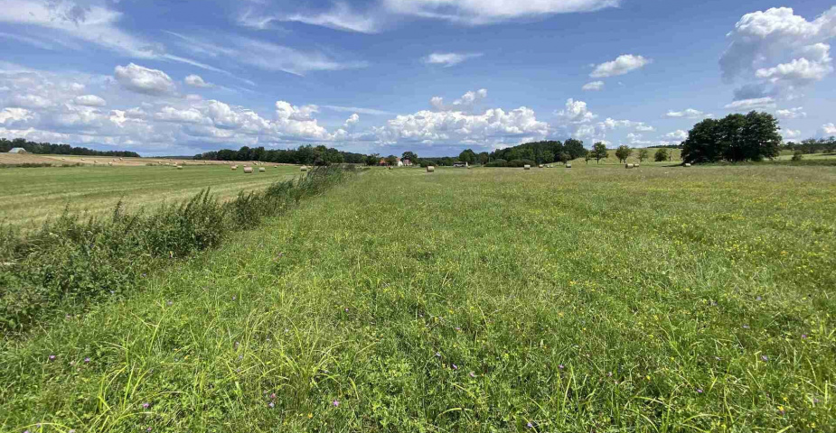 Prodej zemědělských pozemků Hrbov u Lhenic