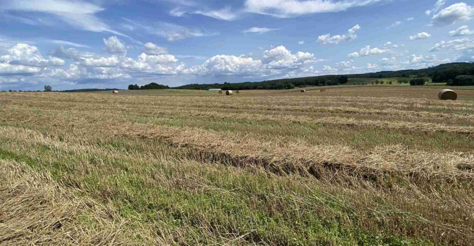 Prodej zemědělských pozemků Hrbov u Lhenic