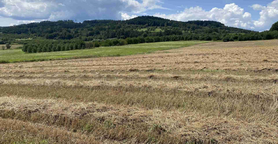 Prodej zemědělských pozemků Hrbov u Lhenic