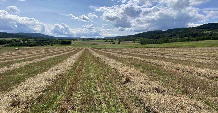 Prodej zemědělských pozemků Hrbov u Lhenic